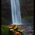 /album/fotogaleria/cascada-ecologica-2-jpg/